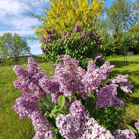 Hébergement de vacances Les Lilas De Recoules *