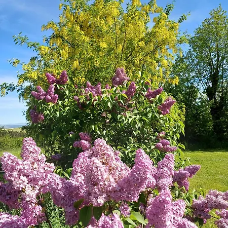 Semesterbostad Les Lilas De Recoules *